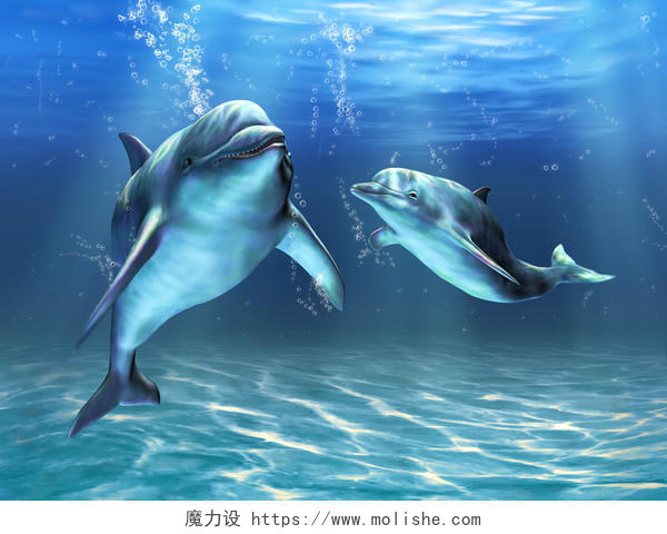 两个海豚在海洋中快乐地游泳数字图